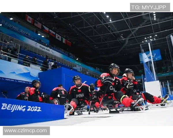 北京极限运动队团队协作引发热议与争议的背后故事